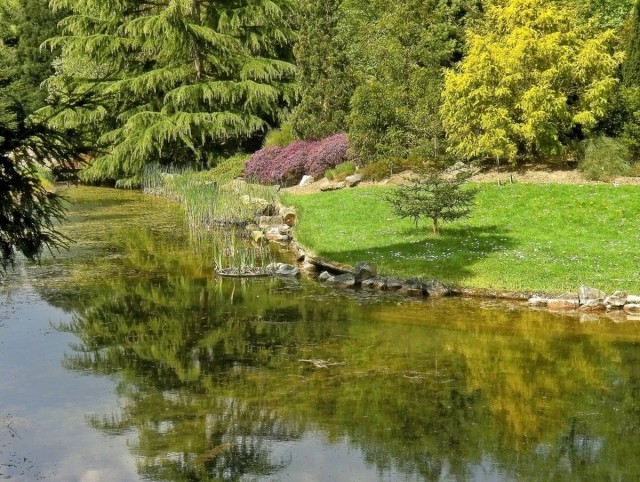 Ботанический сад (Botanischer Garten)
