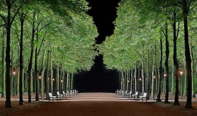 Парк Хофгартен (Hofgarten)