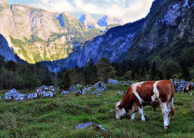 Озеро Оберзее (Obersee)