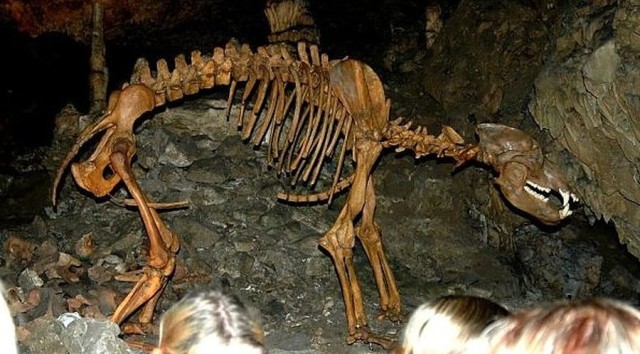 Бауманская пещера или пещера Baumanns (Baumannshöhle)