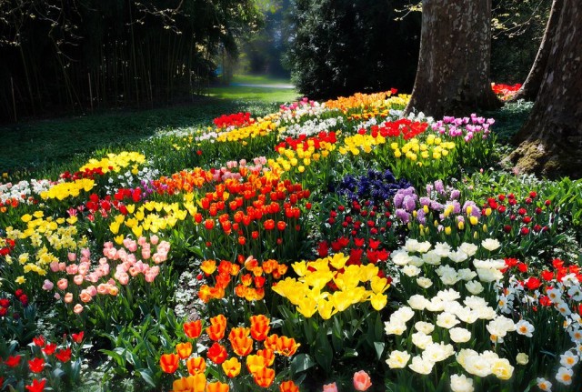 Остров Майнау (Mainau)