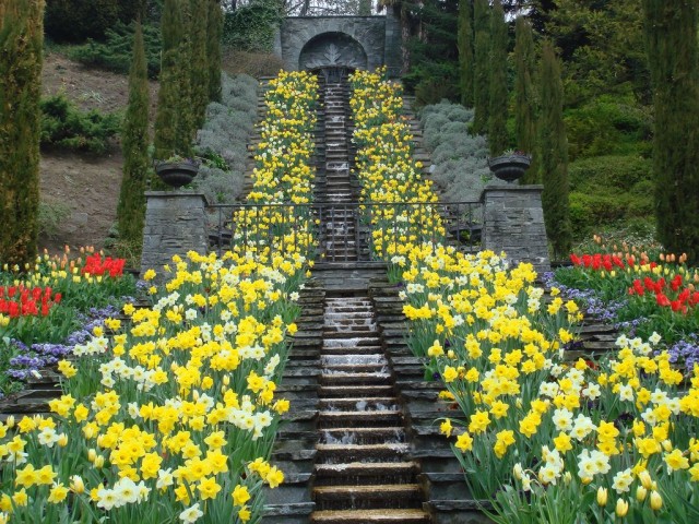 Остров Майнау (Mainau)