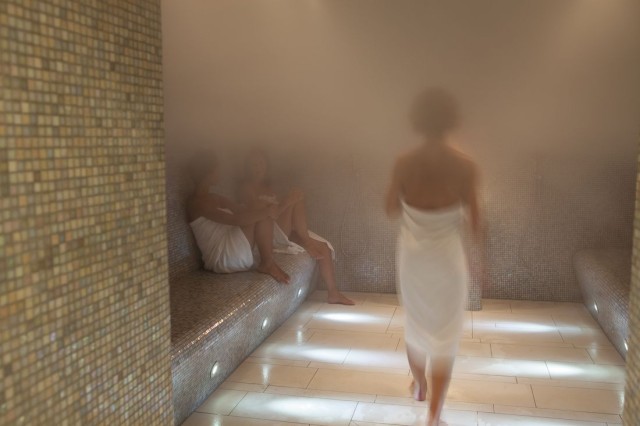 Термальный комплекс в Вене (Therme Wien)