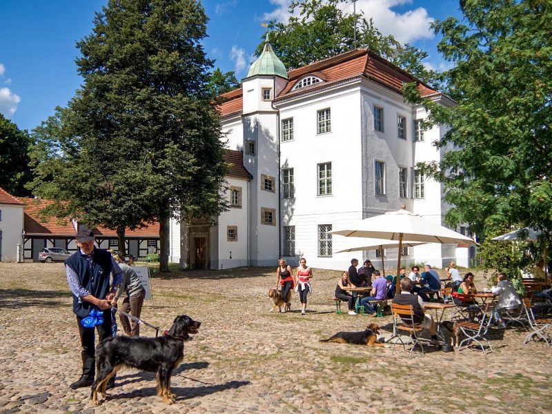 Охотничий дворец Груневальд (Jagdschloss Grunewald)