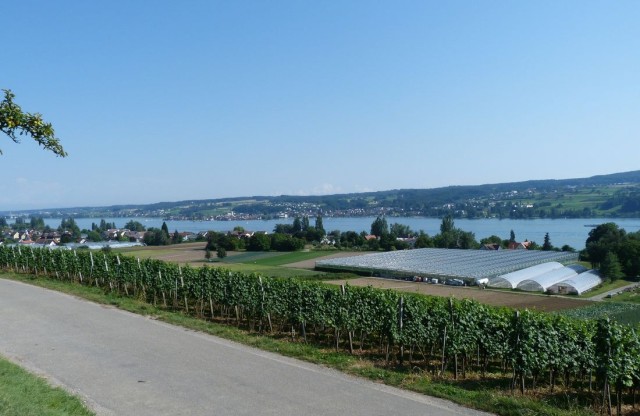 Монастырский остров Райхенау (Klosterinsel Reichenau im Bodensee) 
