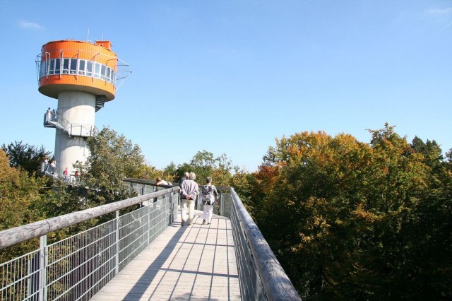 Национальный парк Хайних (Nationalpark Hainich)