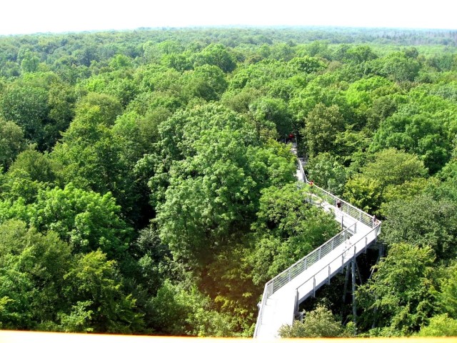 Национальный парк Хайних (Nationalpark Hainich)