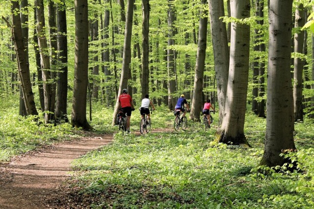 Национальный парк Хайних (Nationalpark Hainich)