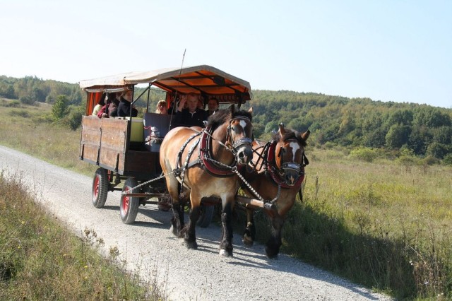 Национальный парк Хайних (Nationalpark Hainich)