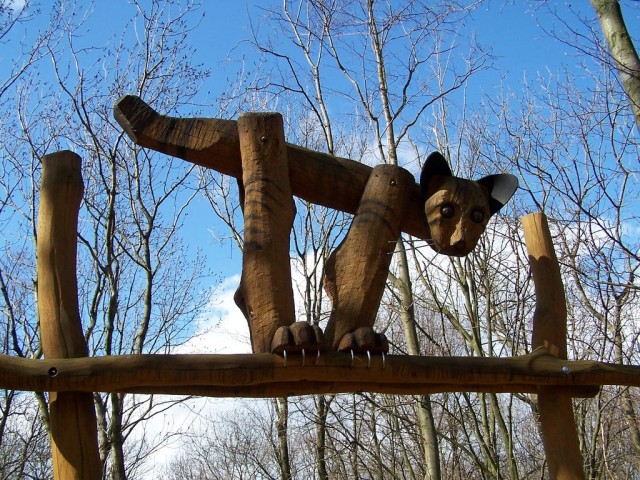 Национальный парк Хайних (Nationalpark Hainich)