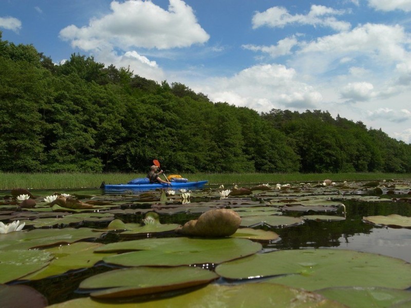 Национальный парк «Мюриц» (Müritz-Nationalpark)