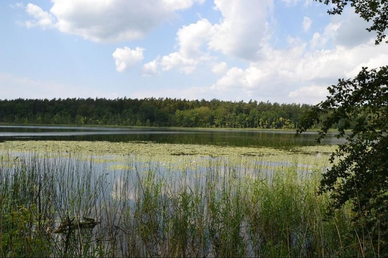 Национальный парк «Мюриц» (Müritz-Nationalpark)