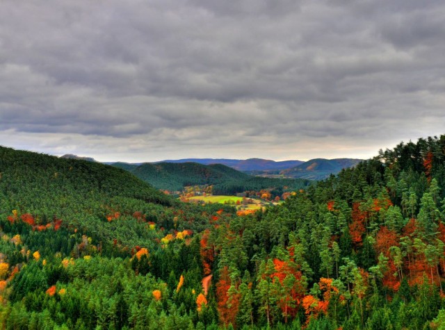 Природный парк Пфальцервальд (Naturpark Pfälzerwald) Германия