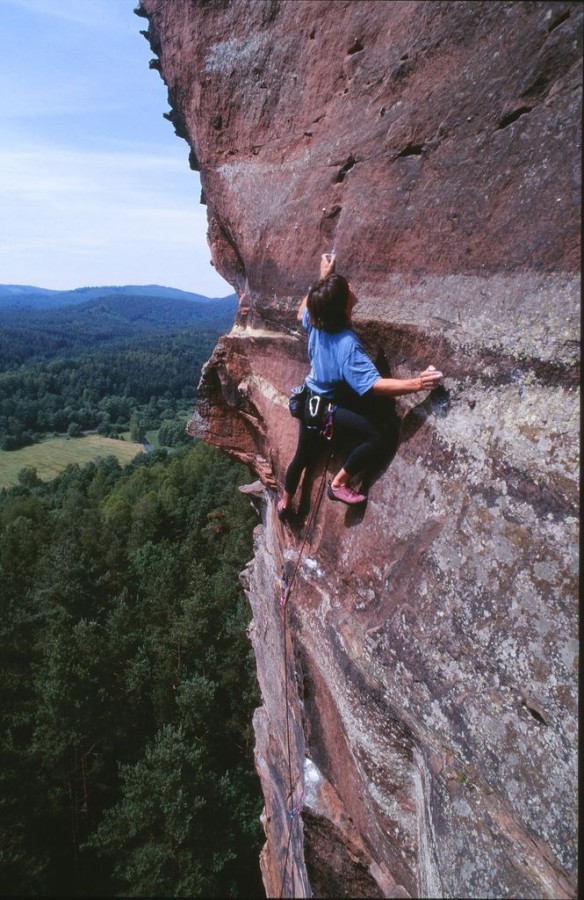 Природный парк Пфальцервальд (Naturpark Pfälzerwald) Германия