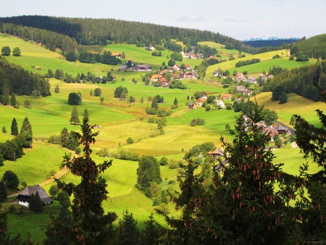 Шварцвальд (Schwarzwald) 