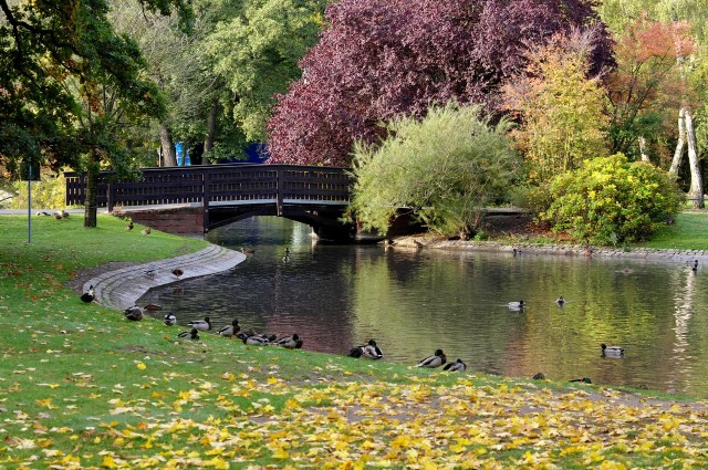 Городской парк (Stadtpark)