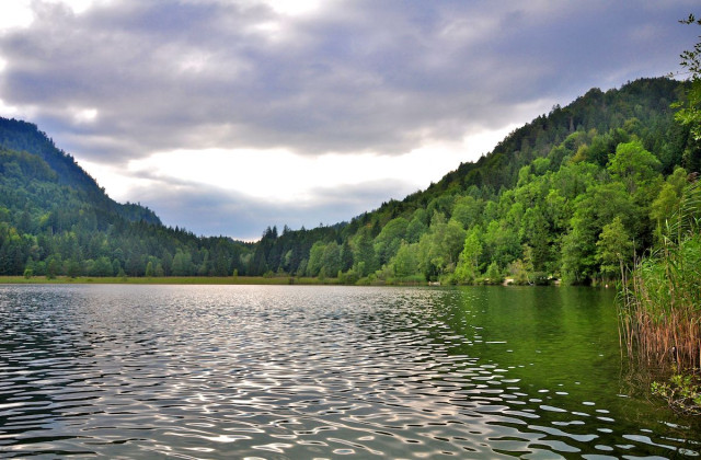 Шванзее (Schwansee)