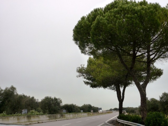 Way to Brindisi