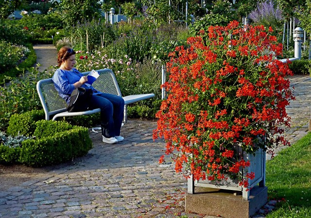 Парк «Плантен ун бломен» (Planten un Blomen) 
