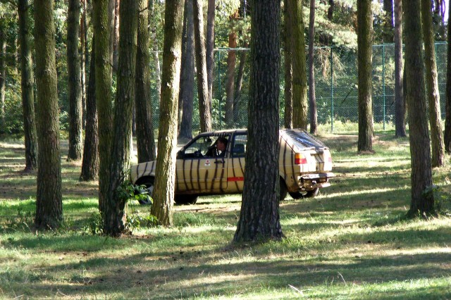 Серенгети-парк (Serengeti-Park)