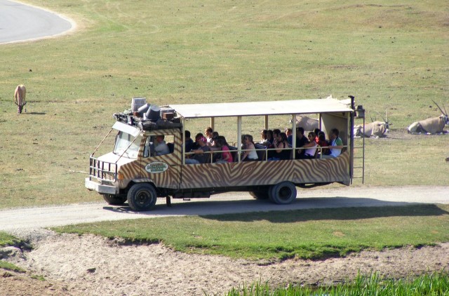 Серенгети-парк (Serengeti-Park)