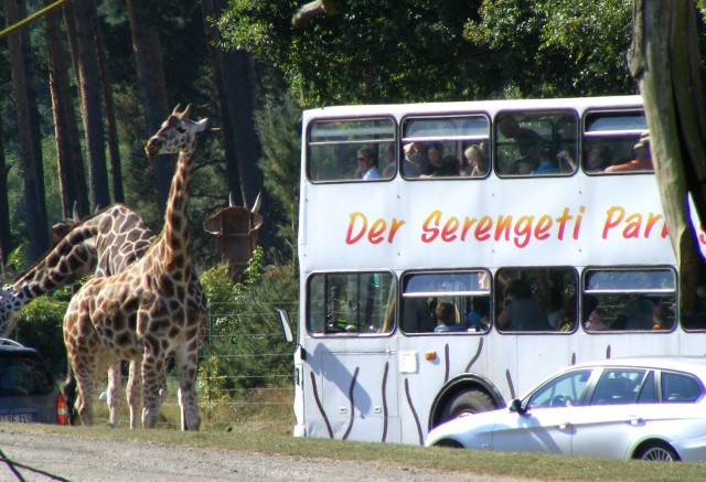Серенгети-парк (Serengeti-Park)