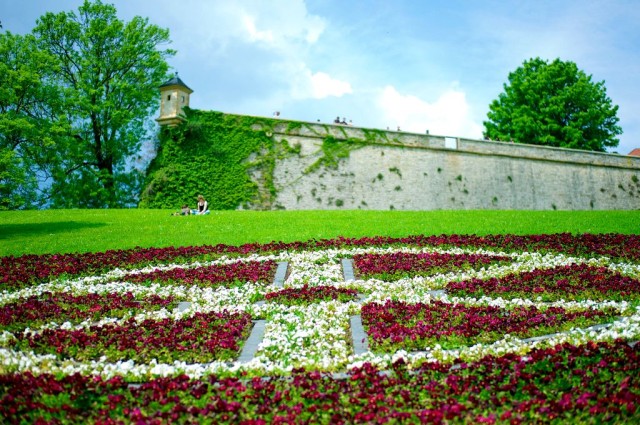 Цитадель Петерсберг (Zitadelle Petersberg)