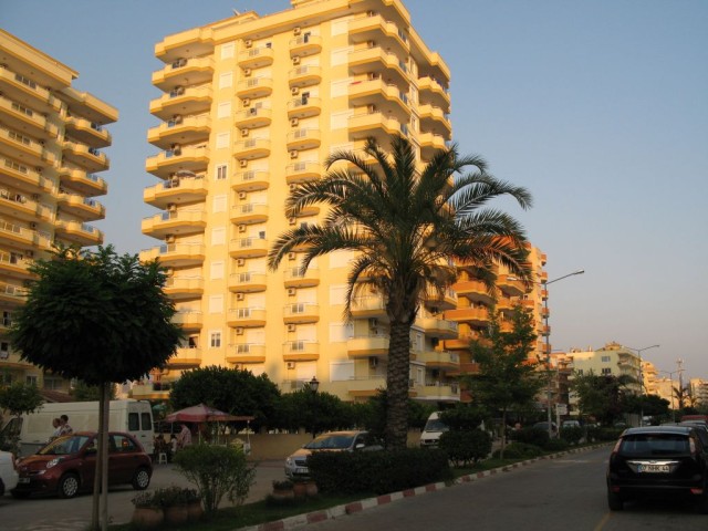 Выпустили на волю