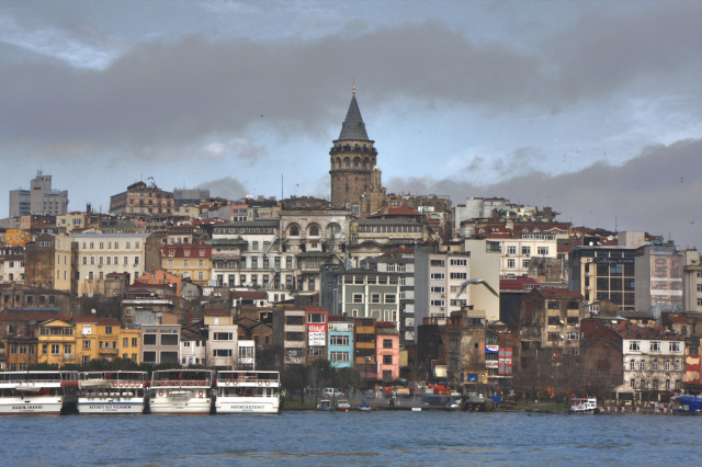 Выпустили на волю