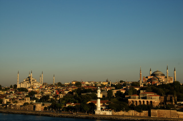 Выпустили на волю