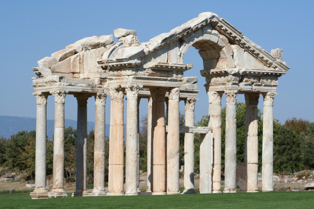 Выпустили на волю