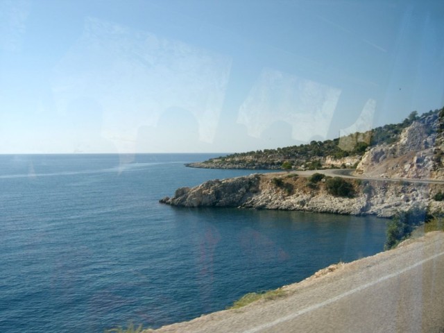 Выпустили на волю