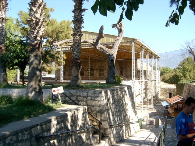 Выпустили на волю