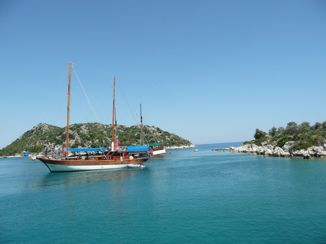 Выпустили на волю