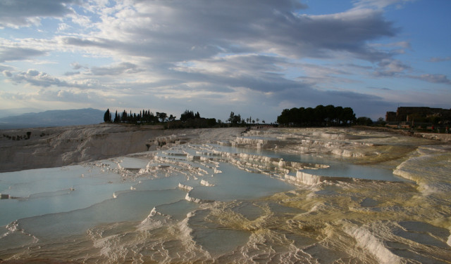 Выпустили на волю