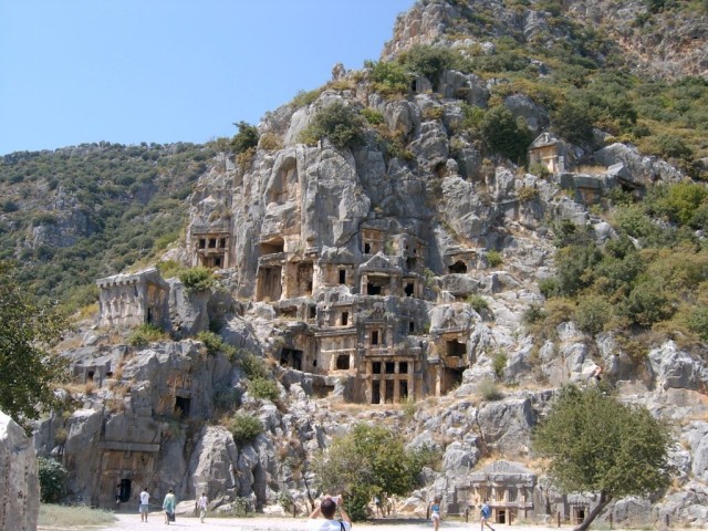 Выпустили на волю