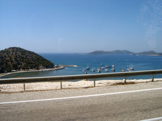 Выпустили на волю