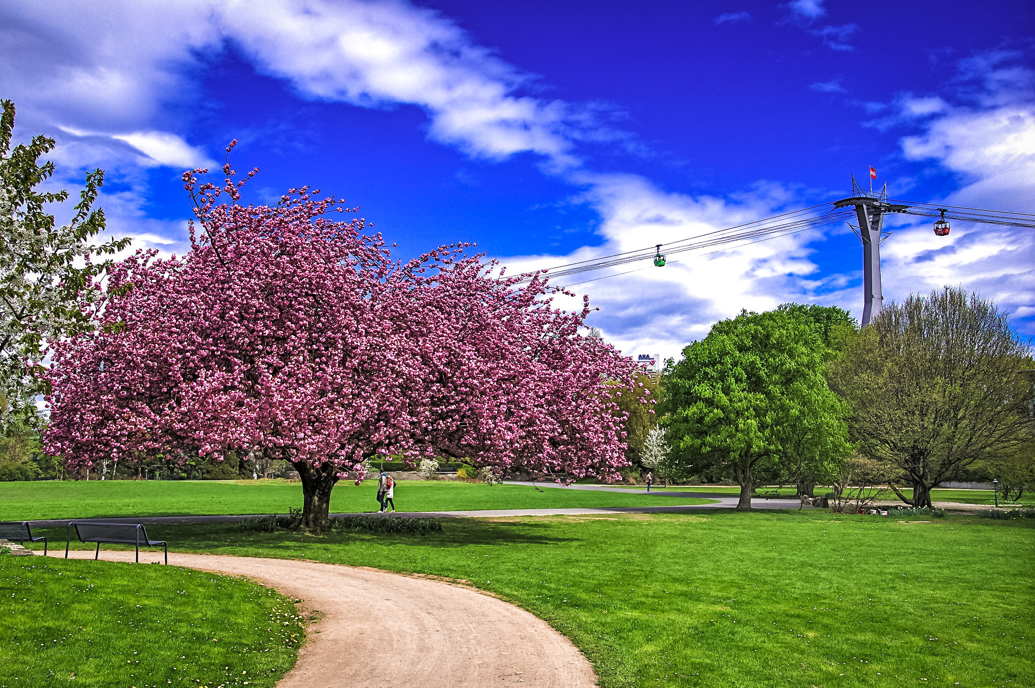 Весна в парке