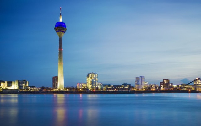 Выпустили на волю