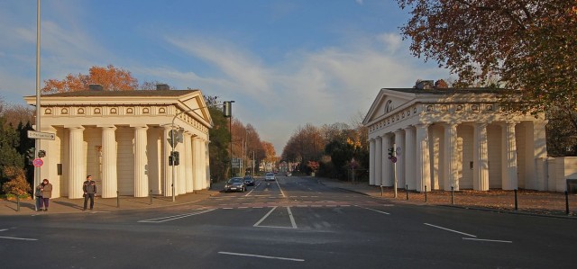 Выпустили на волю