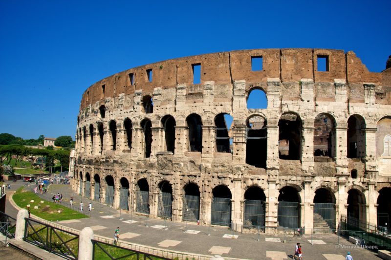 Выпустили на волю