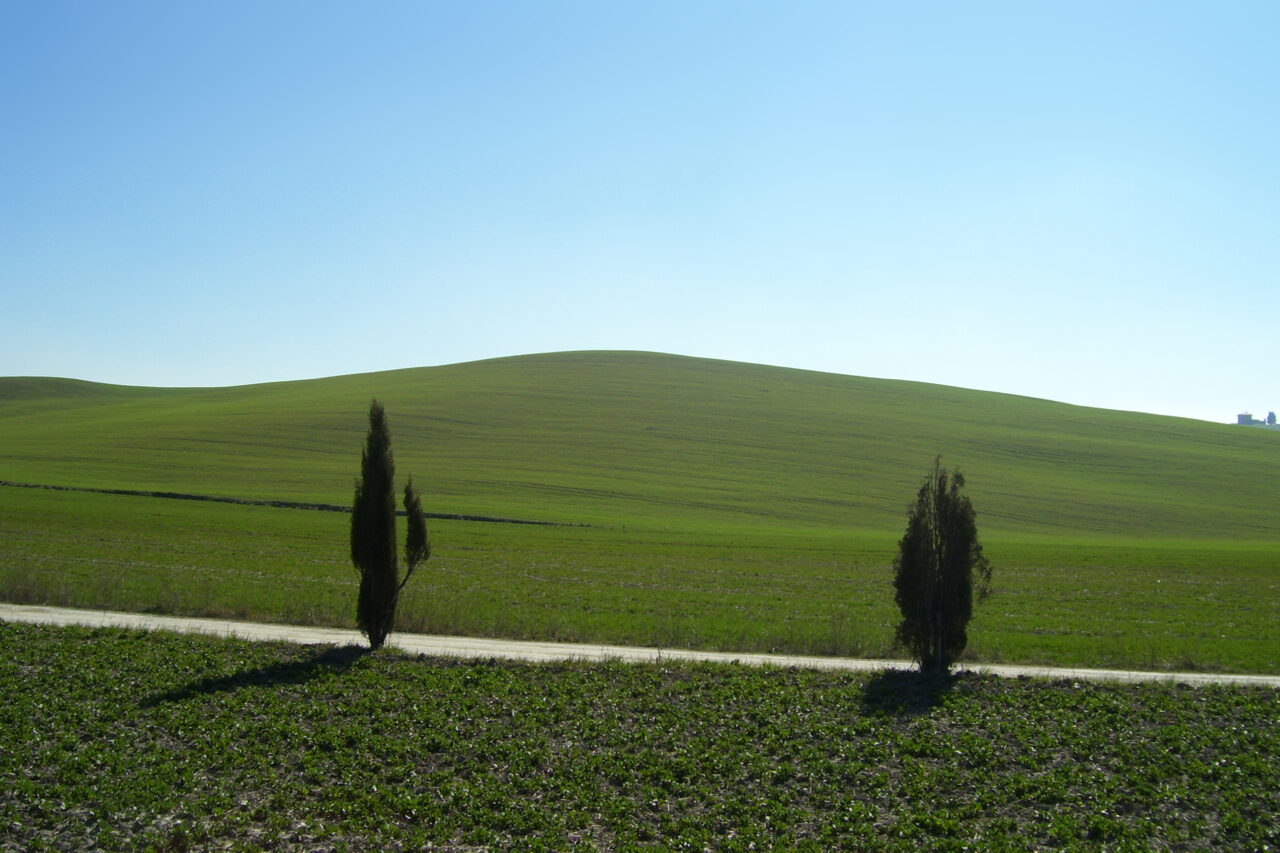 Валь-д’Орча (Val d’Orcia)